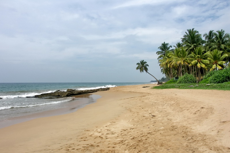 Sri Lanka, Kosgoda, Turtle Farm